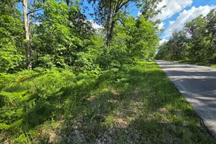 V/L S Astor Rd, Baldwin, MI 49304 - Photo 1