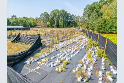 5852 NW County Line Road, Beaverton, MI 48612 - Photo 62