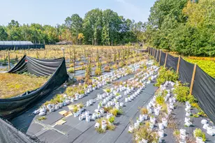 5852 NW County Line Rd, Beaverton, MI 48612 - Photo 62