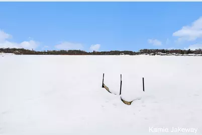 152 W Holland Lake Drive, Sheridan, MI 48884 - Photo 34