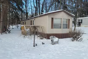 1133 Yeomans St, Ionia, MI 48846 - Photo 1