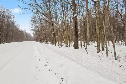 Nadeau Drive, Pullman, MI 49450 - Photo 18