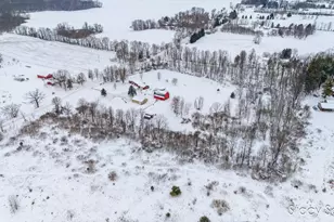 10195 Cox Rd, Bellevue, MI 49021 - Photo 58