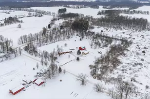 10195 Cox Rd, Bellevue, MI 49021 - Photo 6