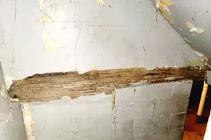 967 Continental St, Detroit, MI 48215 - Photo 14