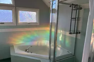 433 McKinley St, Chelsea, MI 48118 - Photo 64