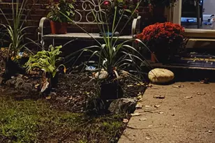 410 Riverbend Dr, Milan, MI 48160 - Photo 46