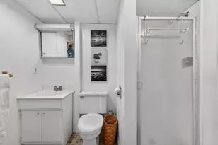 163 Pine Hill Lake Dr, Horton, MI 49246 - Photo 38