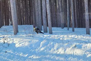 6835 W Deer Rd, Mears, MI 49436 - Photo 52