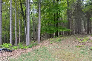 6835 W Deer Rd, Mears, MI 49436 - Photo 50