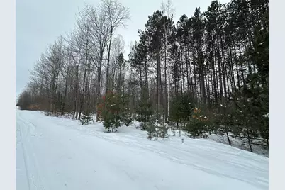 V/L Lakola Road, Leroy, MI 49655 - Photo 6