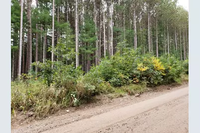 V/L Lakola Road, Leroy, MI 49655 - Photo 1