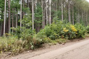 V/L Lakola Rd, Leroy, MI 49655 - Photo 1