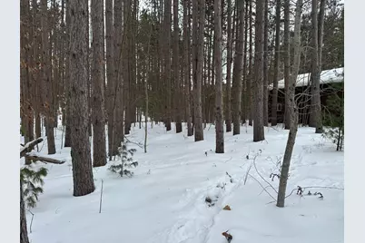 V/L Lakola Road, Leroy, MI 49655 - Photo 8