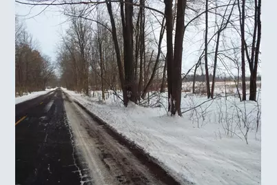 B Peacock Road, Leslie, MI 49251 - Photo 2