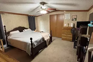 22475 4 Mile Rd, Morley, MI 49336 - Photo 14