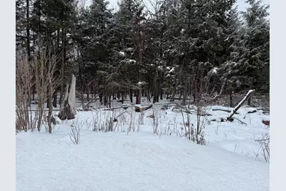 Vl 17 Mile Road, Leroy, MI 49655 - Photo 8