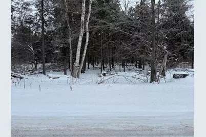 Vl 17 Mile Road, Leroy, MI 49655 - Photo 6