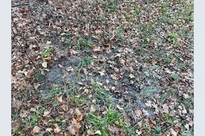 V/L 17 Mile Rd, Leroy, MI 49655 - Photo 38