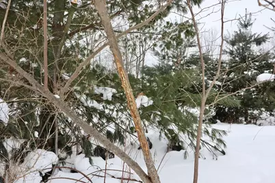 V/L 17 Mile Rd, Leroy, MI 49655 - Photo 12