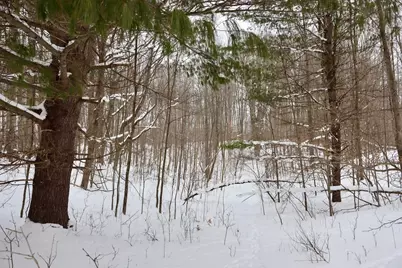 V/L 17 Mile Rd, Leroy, MI 49655 - Photo 52