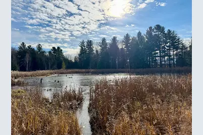 V/L 17 Mile Rd, Leroy, MI 49655 - Photo 18