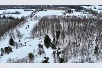 V/L 17 Mile Rd, Leroy, MI 49655 - Photo 42