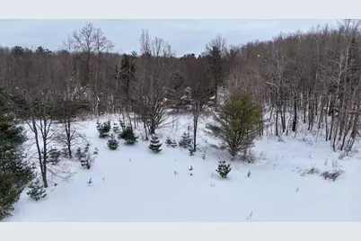 V/L 17 Mile Rd, Leroy, MI 49655 - Photo 40
