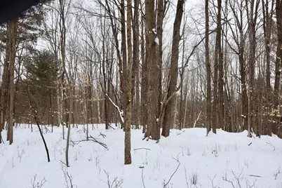 V/L 17 Mile Rd, Leroy, MI 49655 - Photo 56