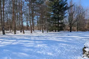 4464 Fisher Estates Ln, Bruce, MI 48065 - Photo 18