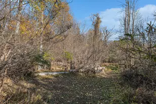 1021 Orchard Ave, South Haven, MI 49090 - Photo 24