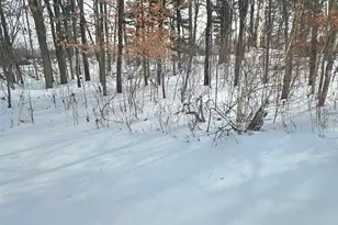 2580 22 Mile Rd NW, Kent City, MI 49330 - Photo 28