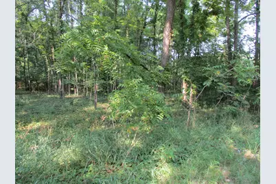 105th Avenue #Parcel 04, Pullman, MI 49450 - Photo 6