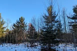 6 Jussi St, Kaleva, MI 49645 - Photo 1