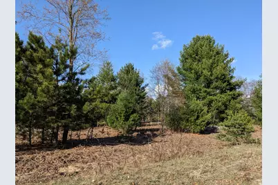 Jussi Street, Kaleva, MI 49645 - Photo 6