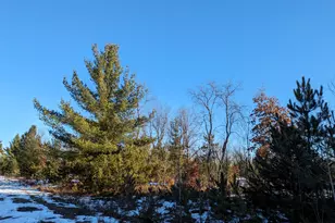 Bergstrom Dr, Kaleva, MI 49645 - Photo 1
