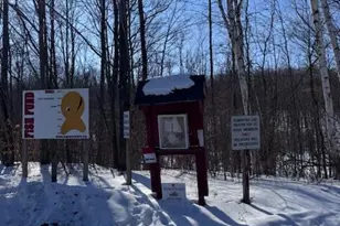 275 Negaunee Lake Dr, Evart, MI 49631 - Photo 44