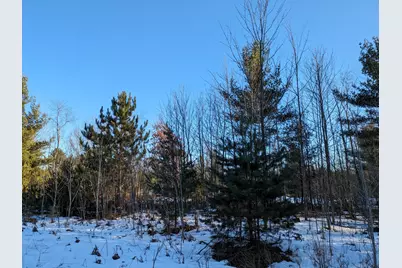 Bergstrom Drive, Kaleva, MI 49645 - Photo 2