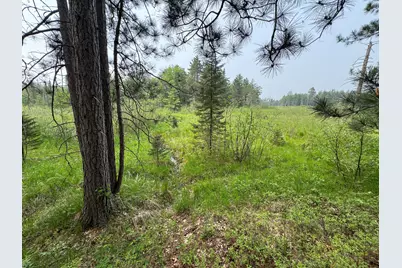 Parcel B Cherry Creek Trail, Grayling, MI 49738 - Photo 22