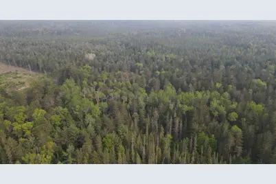 Parcel C Cherry Creek Trail, Grayling, MI 49738 - Photo 6