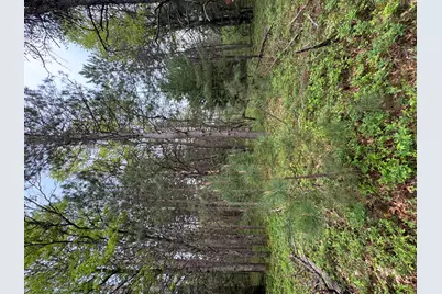 Parcel C Cherry Creek Trail, Grayling, MI 49738 - Photo 16