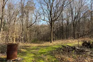 4650 36th Street N, Galesburg, MI 49053 - Photo 42