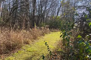 4650 36th Street N, Galesburg, MI 49053 - Photo 40