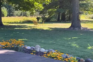 5141 90th Ave, Lakeview, MI 48850 - Photo 52