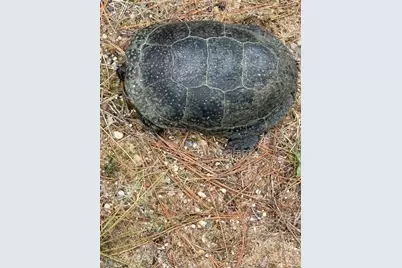 5141 90th Avenue, Lakeview, MI 48850 - Photo 60