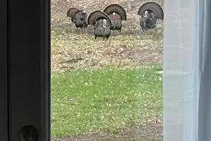 5141 90th Ave, Lakeview, MI 48850 - Photo 56