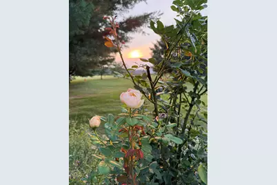 8863 W Pq Avenue, Mattawan, MI 49071 - Photo 50