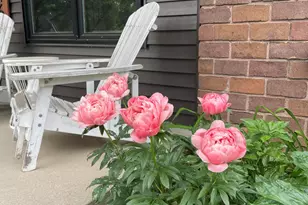 2646 Monroe Ave NE, Grand Rapids, MI 49505 - Photo 6