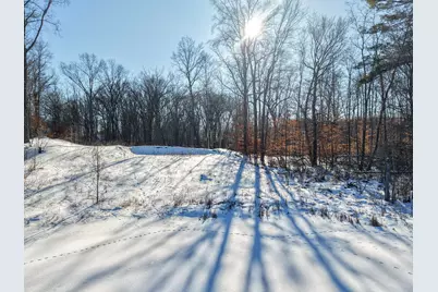 V/L Lilac Lane, Sheridan, MI 48884 - Photo 2