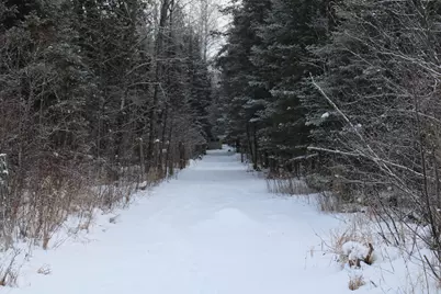 2616 Wickes Road, West Branch, MI 48661 - Photo 76